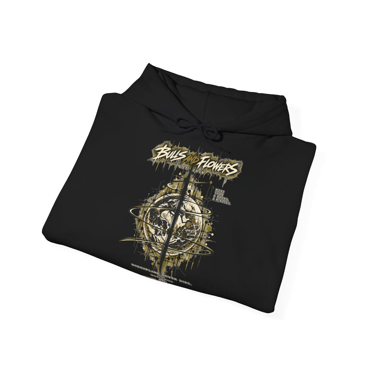 Distressed Compass Skull Hooded Sweatshirt | Grunge Nautical Graphic